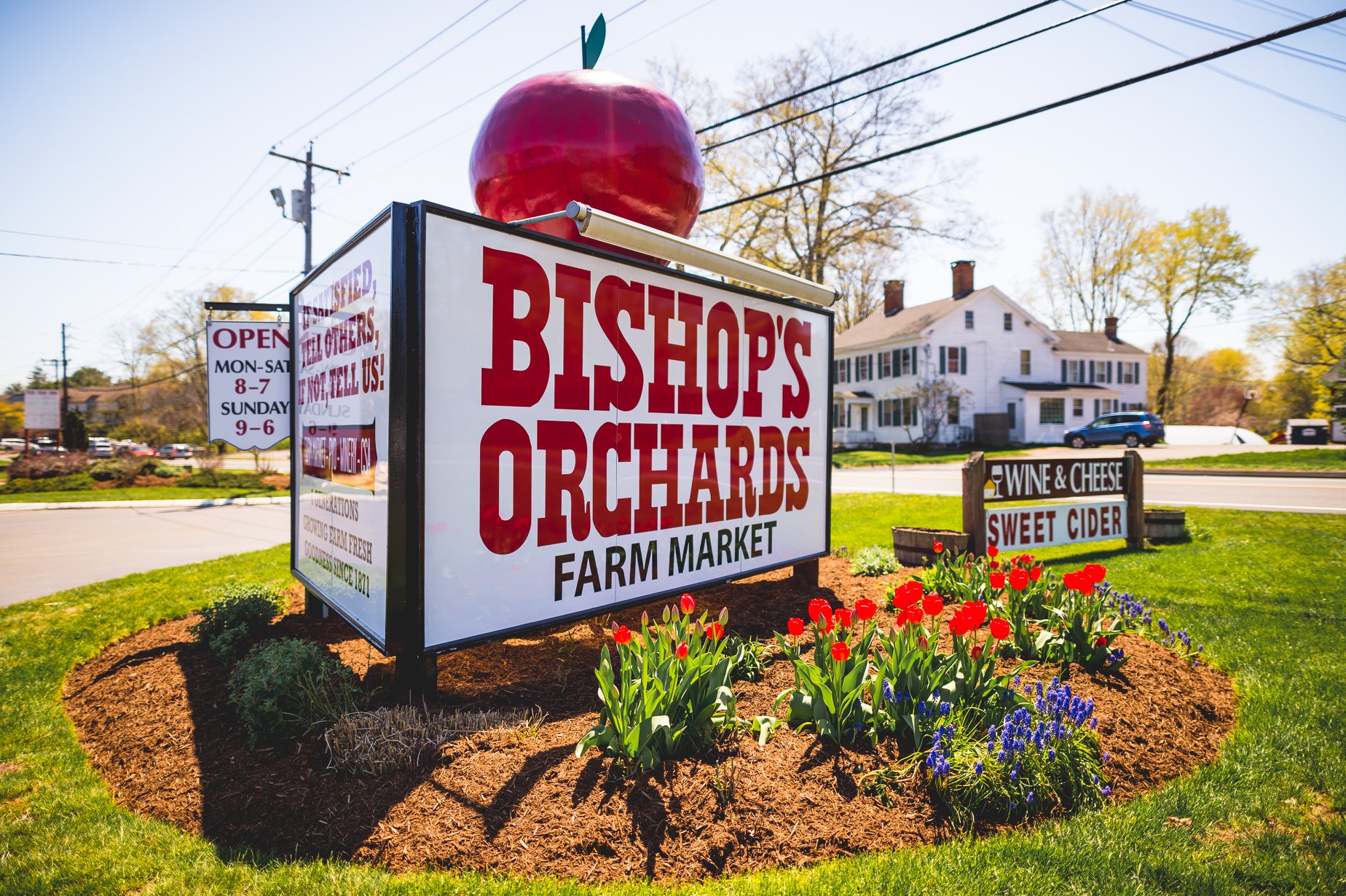 Bishops orchards