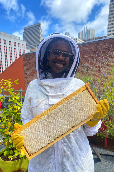 Beekeeper holding up a honeycomb.