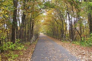 Farmington canal